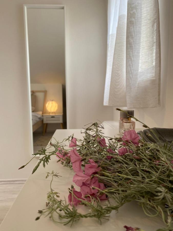 Apartment Vital